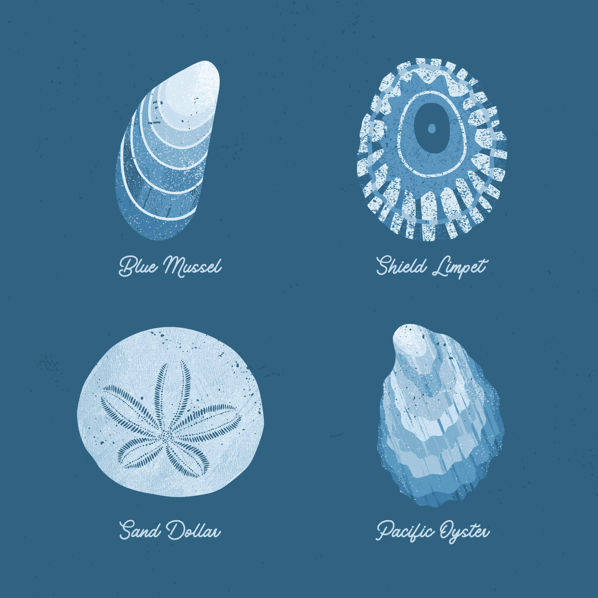 close-up view of illustration of 4 seashells in blue on blue