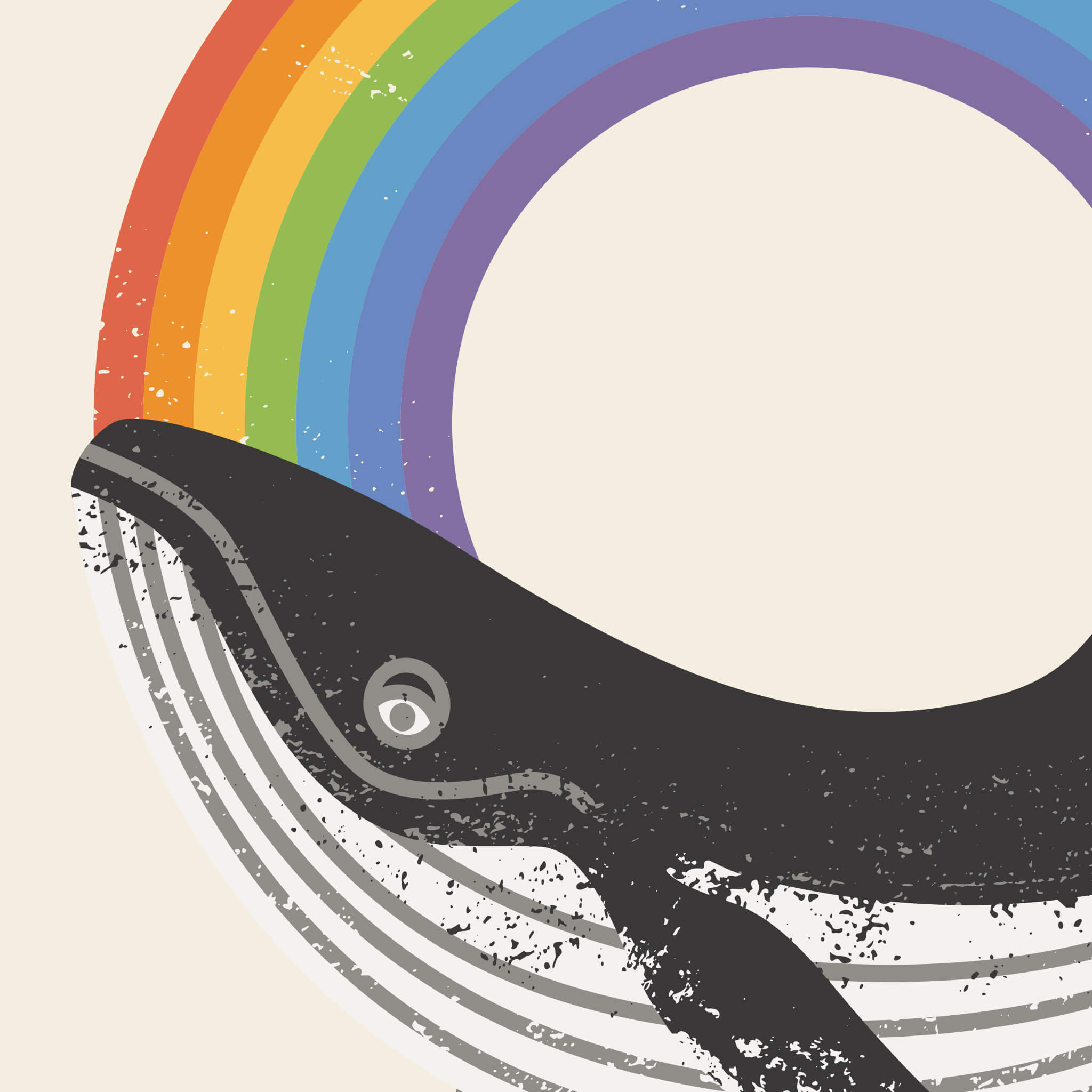 Close-up view of illustration of whale and rainbow