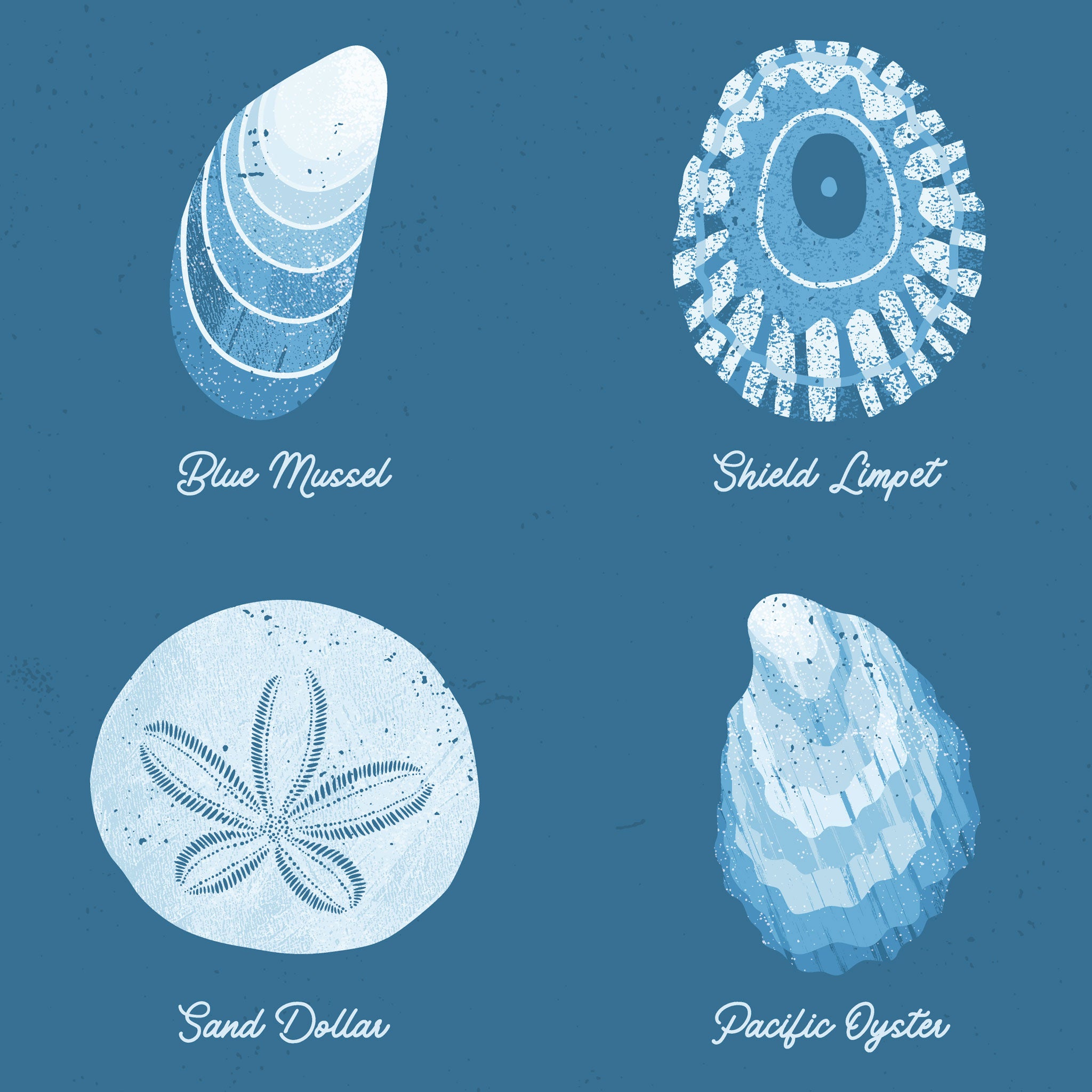 Close-up view of illustrations of 4 seashells in blue on blue