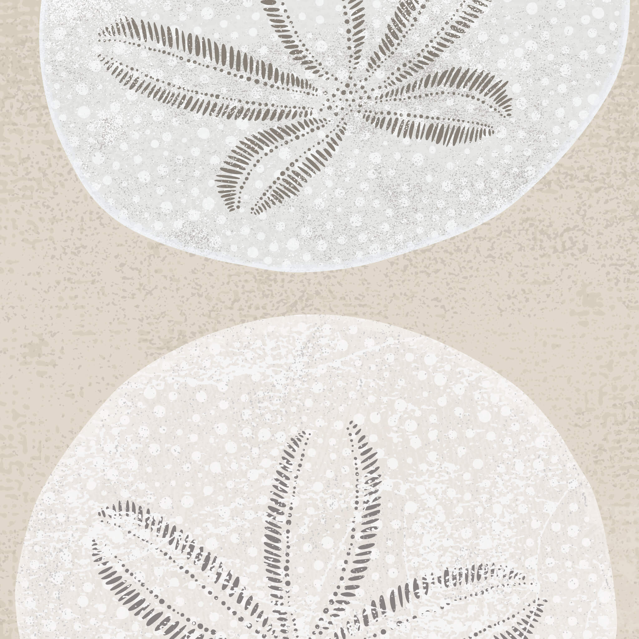 Close-up view of illustration of sand dollars